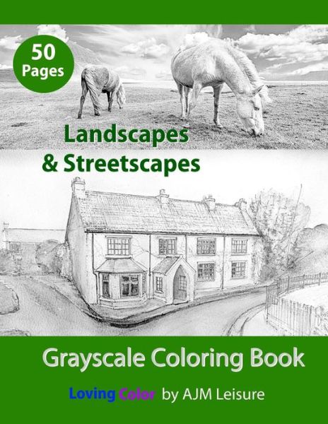 Cover for Ajm Leisure · Landscapes &amp; Streetscapes (Paperback Bog) (2018)