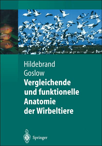 Cover for Milton Hildebrand · Vergleichende Und Funktionelle Anatomie Der Wirbeltiere - Springer-Lehrbuch (Hardcover Book) [2004 edition] (2003)