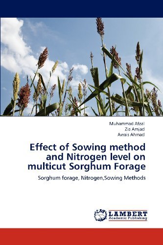 Cover for Awais Ahmad · Effect of Sowing Method and Nitrogen Level on Multicut Sorghum Forage: Sorghum Forage, Nitrogen,sowing Methods (Paperback Bog) (2012)
