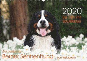 Cover for Brenner · Ein Jahr mit WAUZEBAER - Der be (Book)