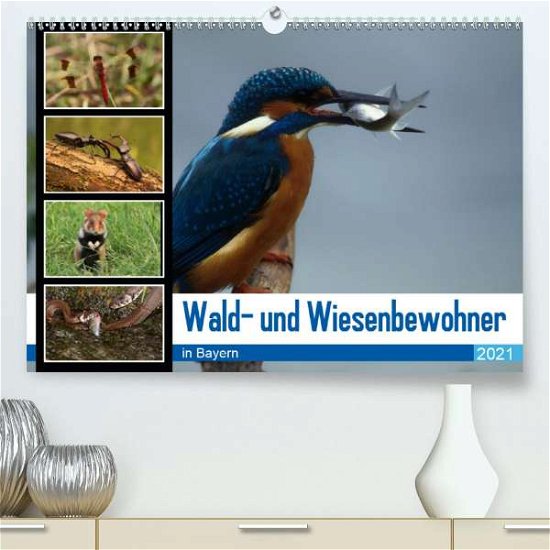 Cover for Erlwein · Wald- und Wiesenbewohner in Bay (Book)