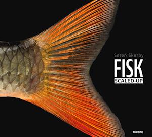 Søren Skarby · FISK – scaled-up (Hardcover Book) [1. wydanie] (2023)