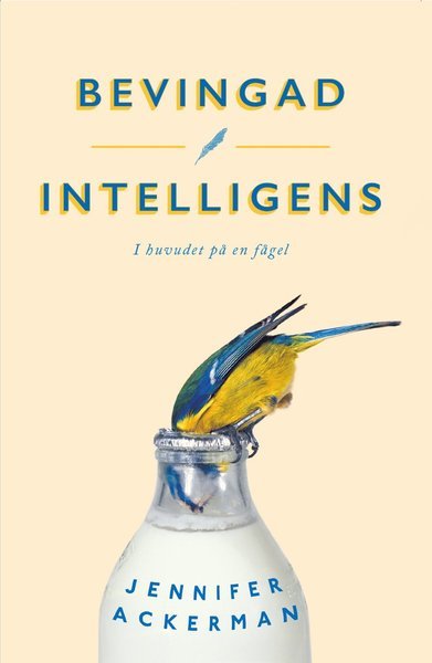 Cover for Jennifer Ackerman · Bevingad intelligens : I huvudet på en fågel (Pocketbok) (2019)
