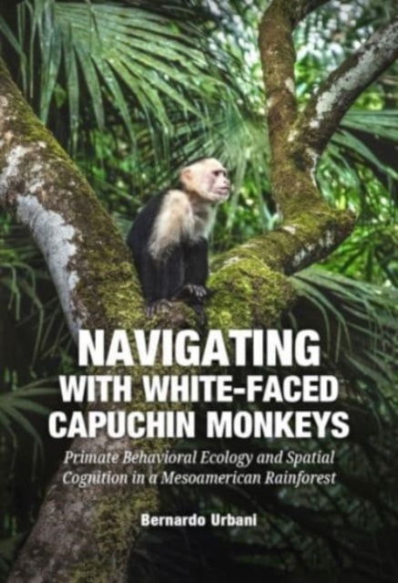 Cover for Bernardo Urbani · Navigating with White-Faced Capuchin Monkeys: Primate Behavioral Ecology and Spatial Cognition in a Mesoamerican (Paperback Book) (2023)