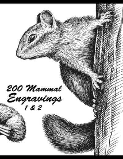 200 Mammal Engravings 1 & 2 - Nick Snels - Kirjat - Independently Published - 9798749347579 - tiistai 11. toukokuuta 2021