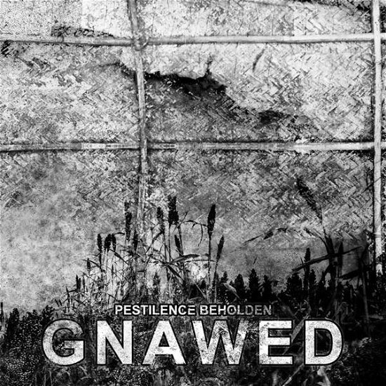 Cover for Gnawed · Pestilence Beholden (CD) (2016)