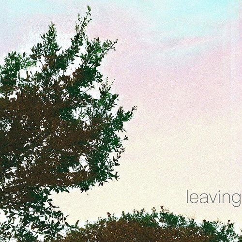 Cover for Leaving (LP) (2020)