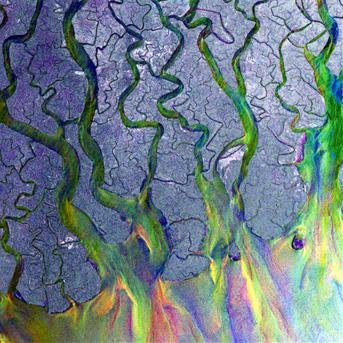 Cover for Alt-J · An Awesome Wave (CD) (2012)