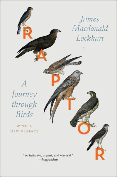 Cover for James Macdonald Lockhart · Raptor a journey through birds : with a new preface (Book) (2017)