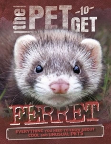 Cover for Rob Colson · The Pet to Get: Ferret - The Pet to Get (Paperback Book) (2017)