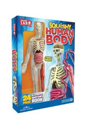 Fashion smartlab toys squishy human body