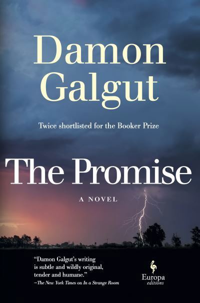 Cover for Damon Galgut · The Promise (Hardcover Book) (2021)