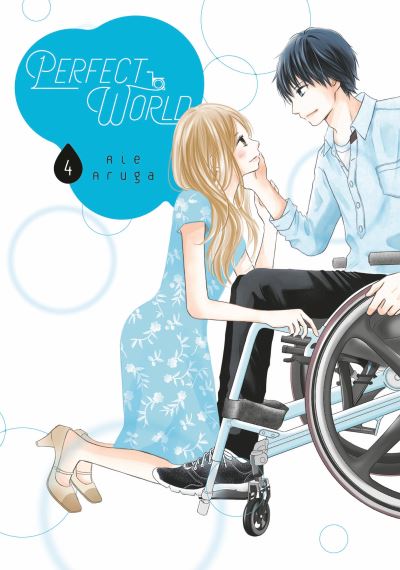 Cover for Rie Aruga · Perfect World 4 - Perfect World (Paperback Book) (2020)