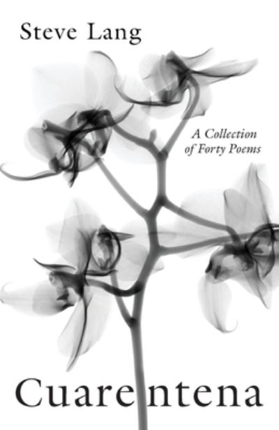Cover for Steve Lang · Cuarentena (Paperback Book) (2021)