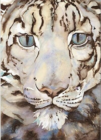 Cover for Jackie Morris · Jackie Morris Snow Leopard Poster (Innbunden bok) (2018)