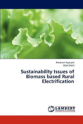 Cover for Bivek Baral · Sustainability Issues of Biomass Based Rural Electrification (Paperback Book) (2013)