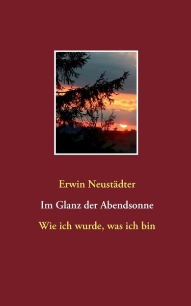 Cover for Neustädter · Im Glanz der Abendsonne (Buch) (2022)