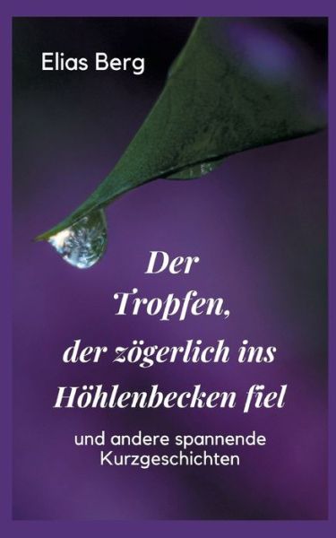 Cover for Elias Berg · Der Tropfen, der zoegerlich ins Hoehlenbecken fiel: Kurzgeschichten (Paperback Book) (2021)