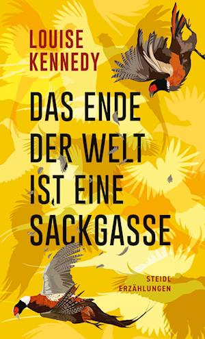 Cover for Louise Kennedy · Das Ende der Welt ist eine Sackgasse (Book) (2025)