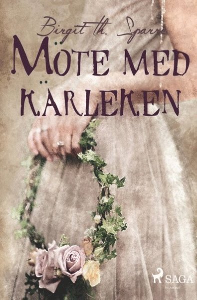 Cover for Birgit Th. Sparre · Möte med kärleken (Bog) (2018)