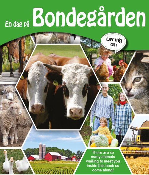 Lær mig om - serien: Lær mig om - En dag på Bondegården -  - Books - Globe - 9788778845580 - October 25, 2016