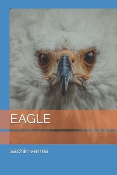 Cover for Sachin Kumar Verma · Eagle (Paperback Book) (2022)