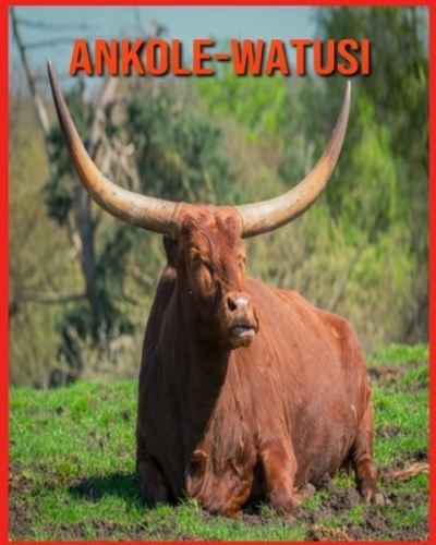 Cover for Linda Davis · Ankole-Watusi: Fatti di apprendimento divertenti sui Ankole-Watusi (Paperback Book) (2021)