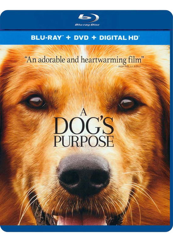 Cover for Dog's Purpose (Blu-ray) (2017)