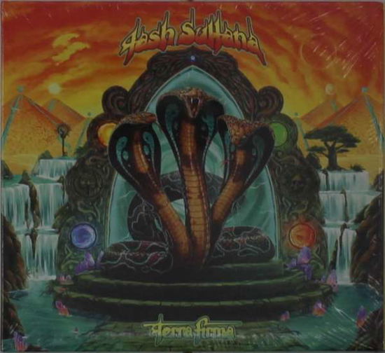 Cover for Tash Sultana · Terra Firma (CD) (2021)