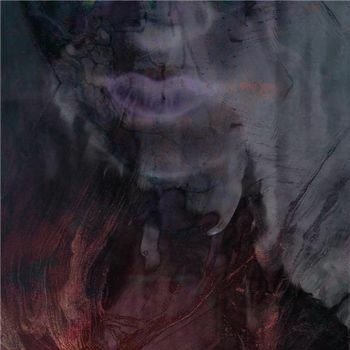 Cover for Hante. · Fierce Remixes &amp; More (LP) (2022)