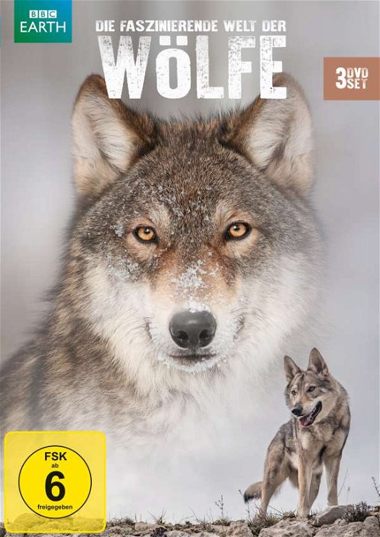 Cover for Die Faszinierende Welt Der Wölfe (DVD) (2018)