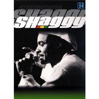 Cover for Shaggy · Live At Chiemsee Reggae Summer (DVD) (2011)