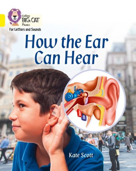 Cover for Kate Scott · How the Ear Can Hear: Band 03/Yellow - Collins Big Cat Phonics for Letters and Sounds (Paperback Bog) (2017)