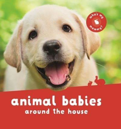 Cover for Editors of Kingfisher · Animal Babies Around the House (Hardcover Book) (2020)