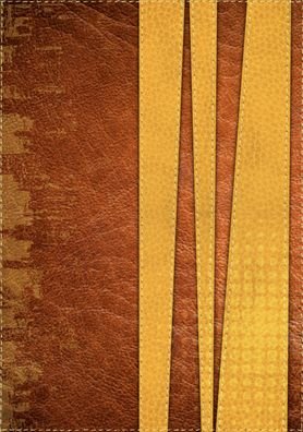 Cover for Unilit · Santa Biblia de Promesas Reina Valera 1960 Para Jovenes / Hombres (Pocketbok) (2015)