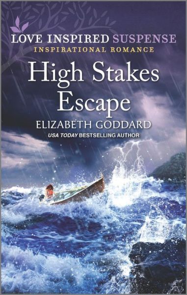 Cover for Elizabeth Goddard · High Stakes Escape (Paperback Book) (2021)