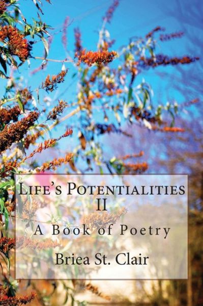 Cover for Briea St Clair · Life's Potentialities (Paperback Book) (2012)