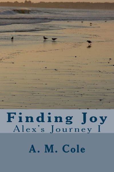 Cover for A M Cole · Finding Joy: Alex's Journey (Taschenbuch) (2014)