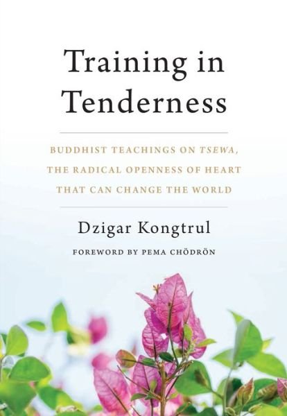 Cover for Dzigar Kongtrul · Training in Tenderness: Buddhist Teachings on Tsewa, the Radical Openness of Heart That Can Change the World (Paperback Bog) (2018)