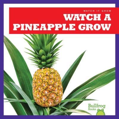 Cover for Kirsten Chang · Watch a Pineapple Grow (Hardcover Book) (2019)