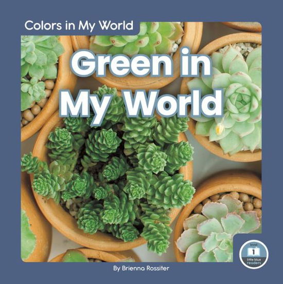 Cover for Brienna Rossiter · Green in My World - Colors in My World (Hardcover Book) (2020)