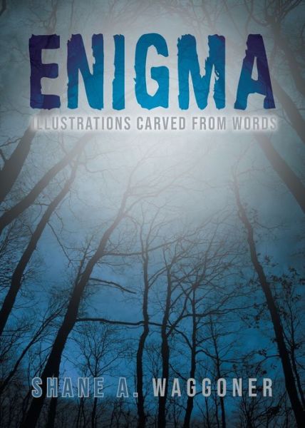 Cover for Shane A Waggoner · Enigma (Paperback Book) (2020)