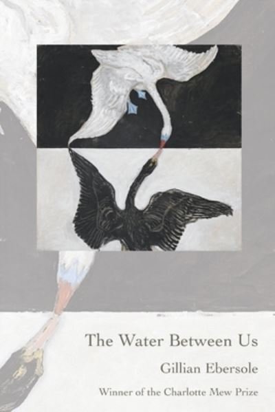 Cover for Gillian Ebersole · The Water Between Us (Paperback Book) (2021)