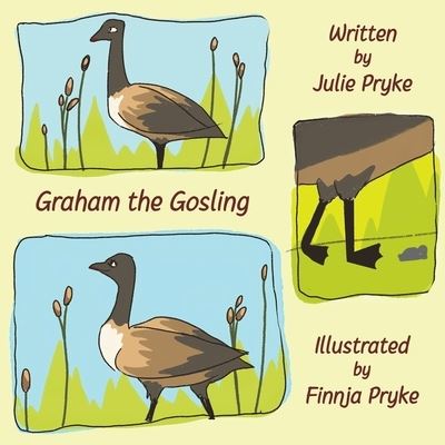 Graham the Gosling - Julie Pryke - Livros - Beaten Track Publishing - 9781786455581 - 1 de novembro de 2022