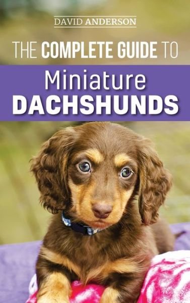 Cover for David Anderson · The Complete Guide to Miniature Dachshunds: A step-by-step guide to successfully raising your new Miniature Dachshund (Hardcover Book) (2018)