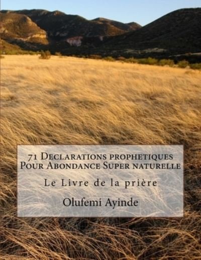 Cover for Olufemi Ayinde · 71 Declarations prophetiques Pour Abondance Super naturelle (Paperback Book) (2017)