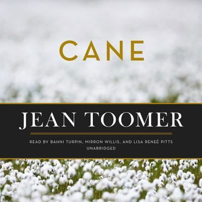 Cane - Jean Toomer - Audio Book - Blackstone Publishing - 9781982673581 - June 25, 2019