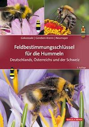 Feldbestimmungsschlüssel für die Hummeln Deutschlands, Österreichs und der Schweiz - Joseph Gokcezade - Książki - Quelle & Meyer - 9783494019581 - 7 marca 2023