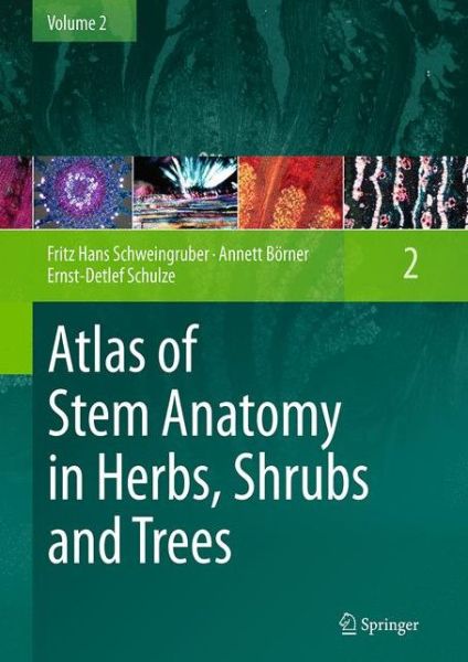 Cover for Fritz Hans Schweingruber · Atlas of Stem Anatomy in Herbs, Shrubs and Trees: Volume 2 (Paperback Bog) [Softcover reprint of the original 1st ed. 2013 edition] (2016)
