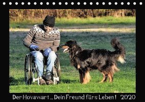 Cover for Siebert · Der Hovawart... Dein Freund für (Book)